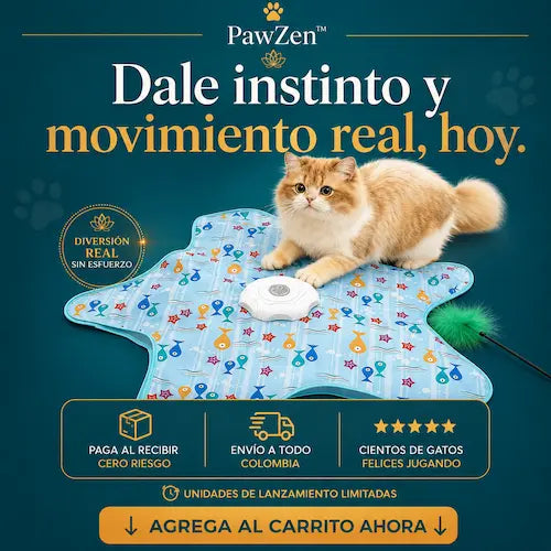 PawZen™- Promueve la Actividad Fisica Mientras se Divierte