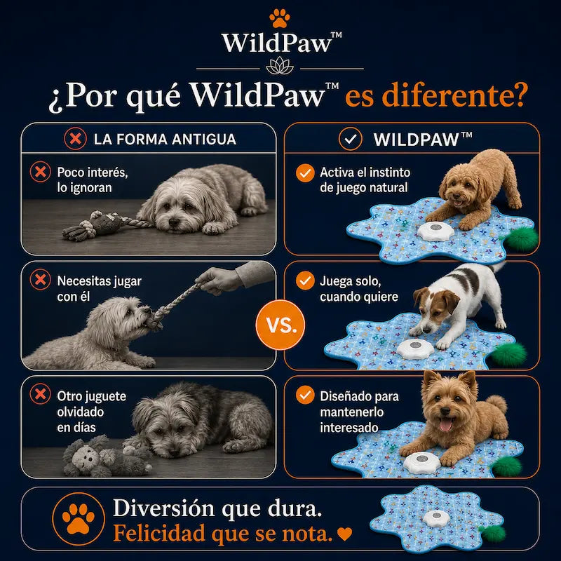 WildPaw™ - El estímulo que sí baja el estrés acumulado